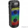 Ginzzu GM-219 {(V5.0), 50Вт, 150Гц- 18кГц, USB-flash, microSD-card, FM-радио, пульт ДУ, батарея 3,6В/4500мАч, эквалайзер }