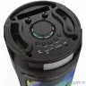 Ginzzu GM-219 {(V5.0), 50Вт, 150Гц- 18кГц, USB-flash, microSD-card, FM-радио, пульт ДУ, батарея 3,6В/4500мАч, эквалайзер }
