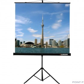 Экран на штативе Lumien Eco View 180x180см (раб.область 174х174 см) MW с возможностью настенного крепления 1:1