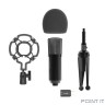RITMIX RDM-160 Black {конденсаторный}