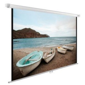 Экран 138X220CM CS-PSWE-220X138-WT CACTUS