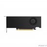NVIDIA RTX A2000 12GB ATX OEM (900-5G192-2551-000/900-5G192-2250-000)ATX+ LP bracket