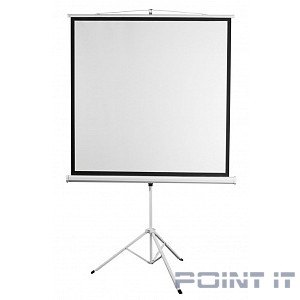 Digis Kontur-D [DSKD-1104] Экран на штативе формат 1:1, 96", 178x181, рабочая поверхность 172x172, MW