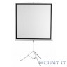 Digis Kontur-D [DSKD-1105] Экран на штативе, формат 1:1, 100", 186x189, рабочая поверхность 180x180, MW