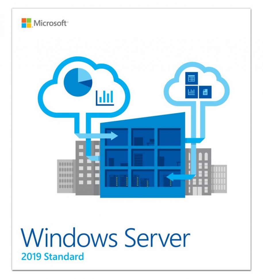 Лицензия OEM WIN SVR 2019 STD 64B ENG 1PK 16CR P73-07788 MS
