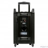 Dialog Oscar AO-210 - акустическая колонка 1.0, 70W RMS, Караоке с беспр. микр, BT+FM+USB+SD+GT